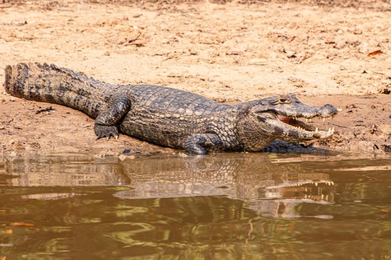 Pantanal Mato Grosso 2* Pocone