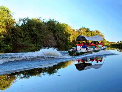 Pantanal Mato Grosso Pocone
