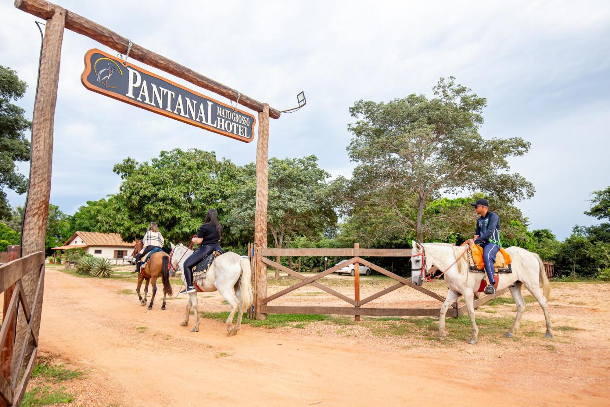 Pantanal Mato Grosso 2*