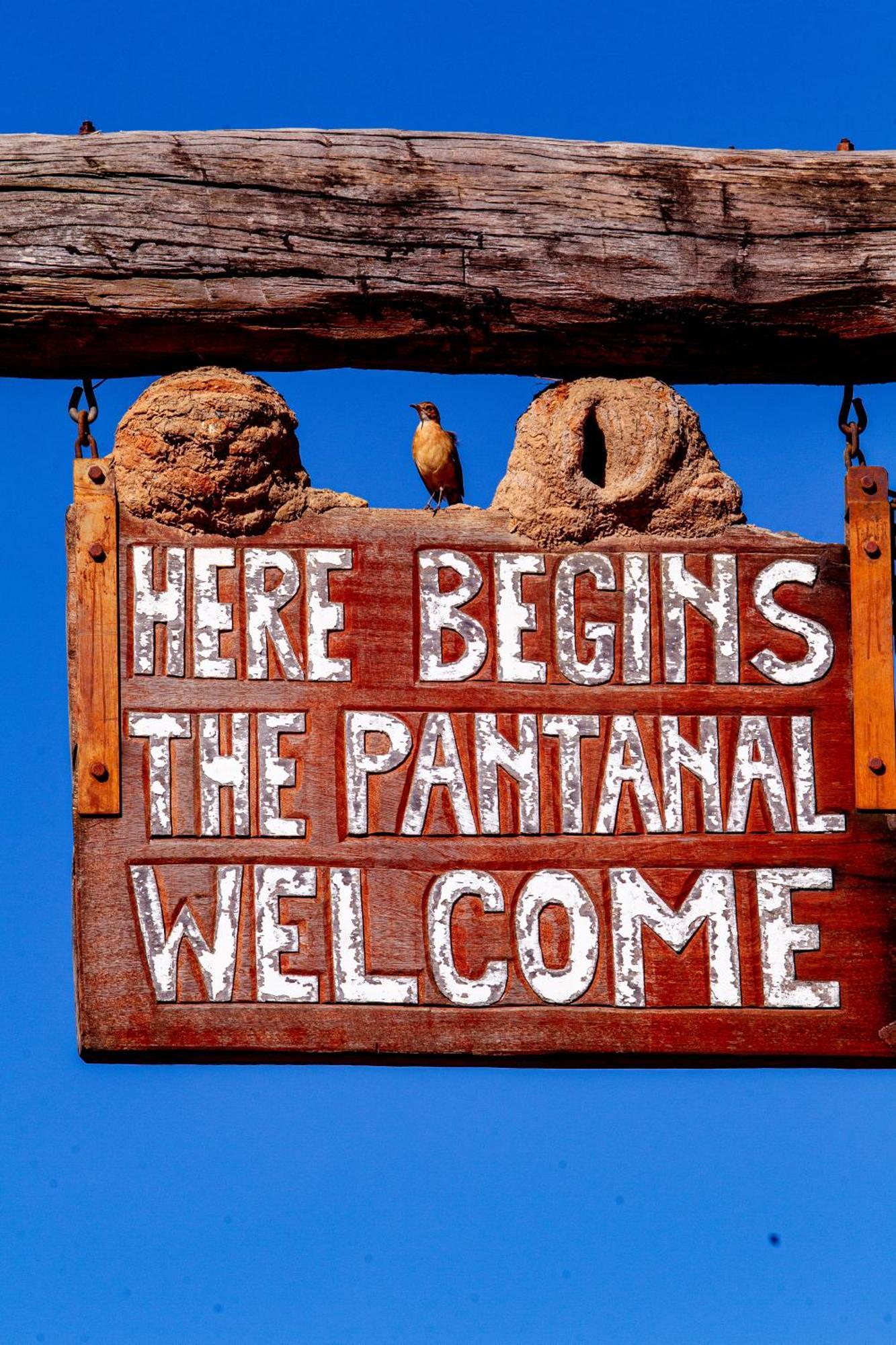 Pantanal Mato Grosso Hotel Pocone