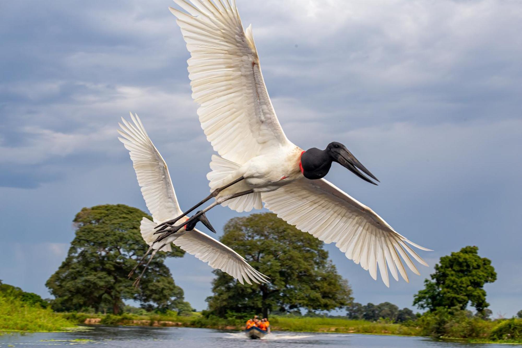 Hotel Pantanal Mato Grosso Pocone