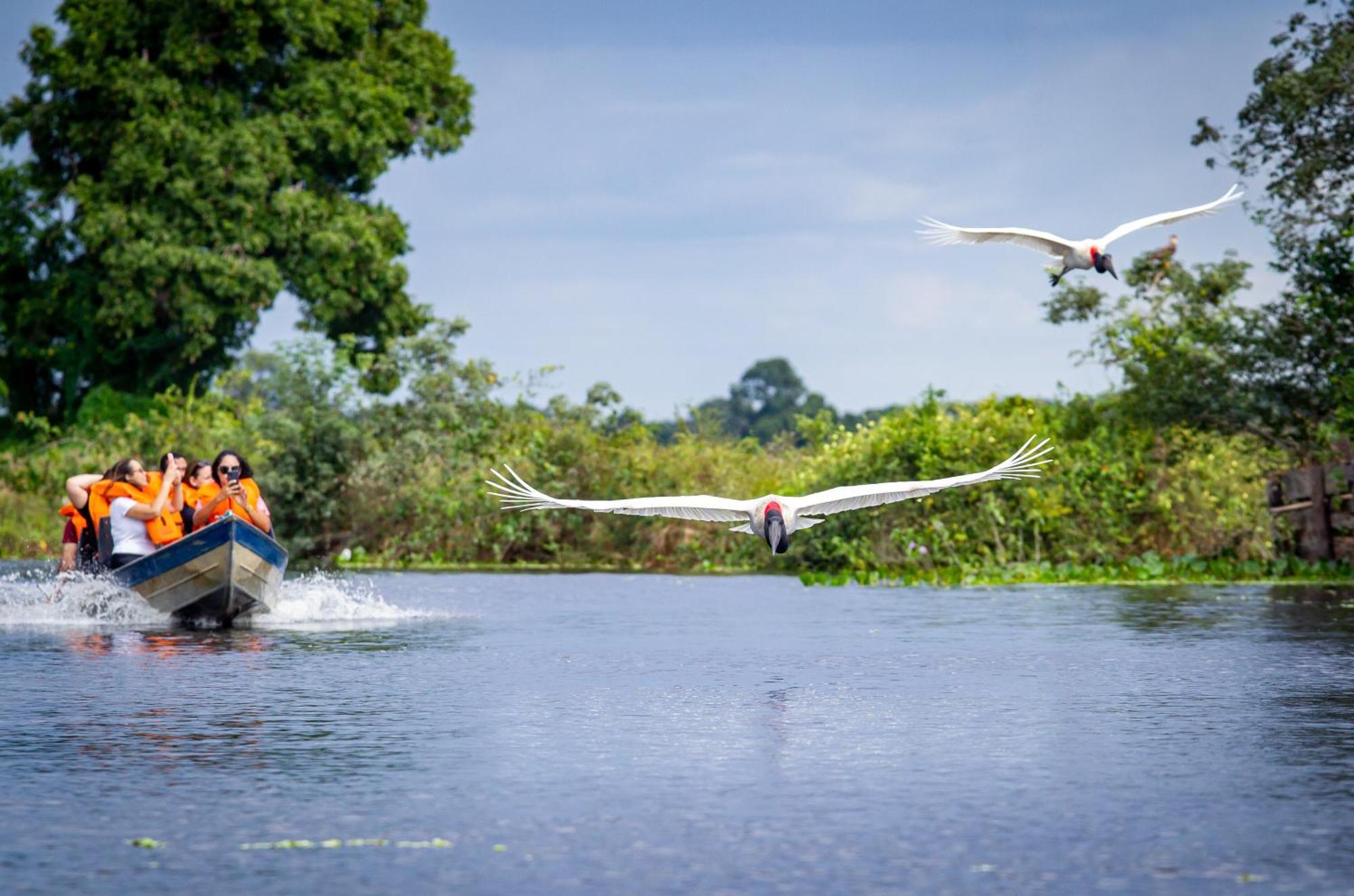 Hotel Pantanal Mato Grosso