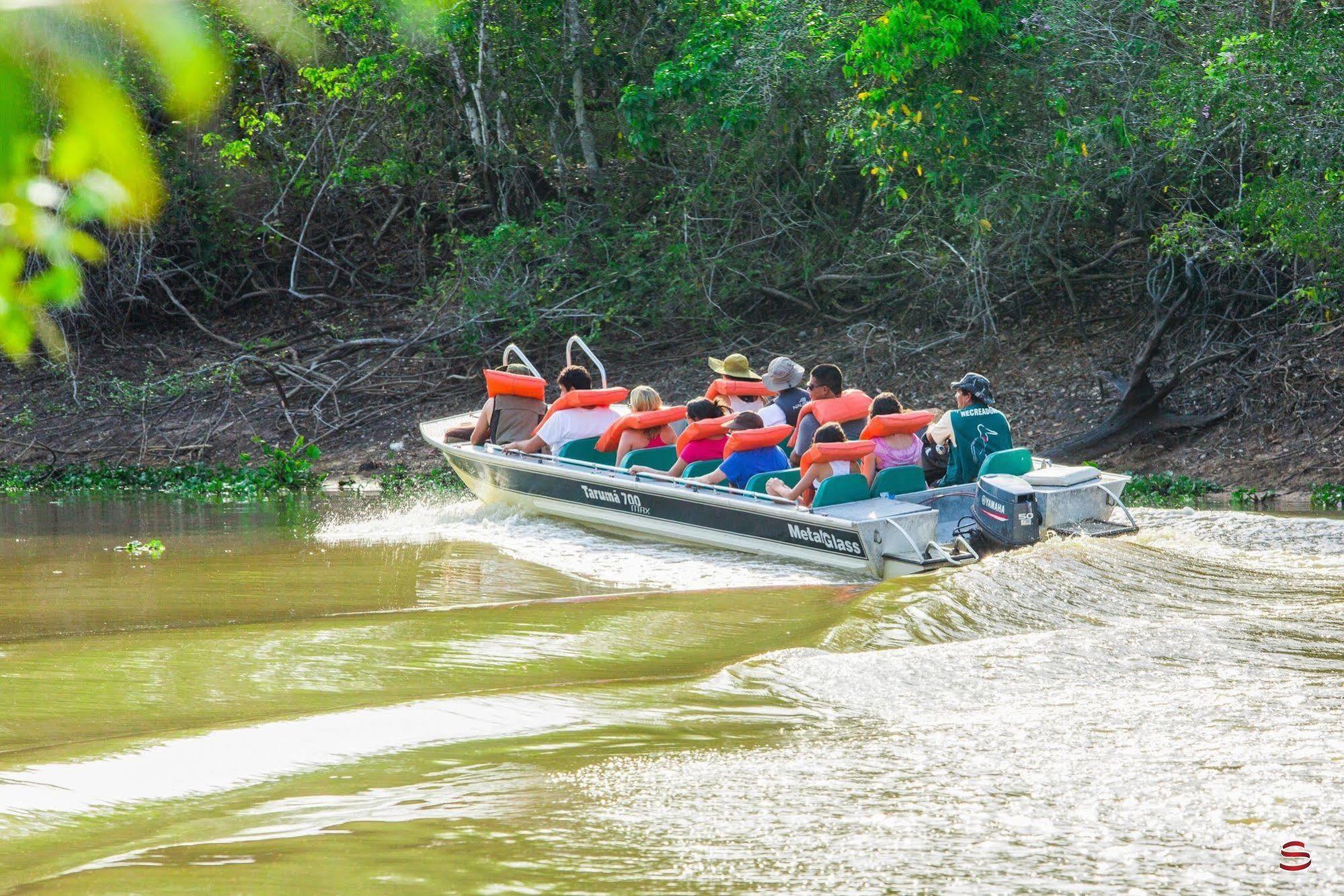 Pantanal Mato Grosso Pocone